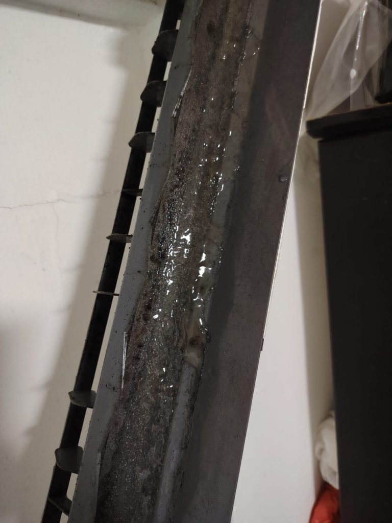 whatsapp image 2025 10 25 at 19.39.42