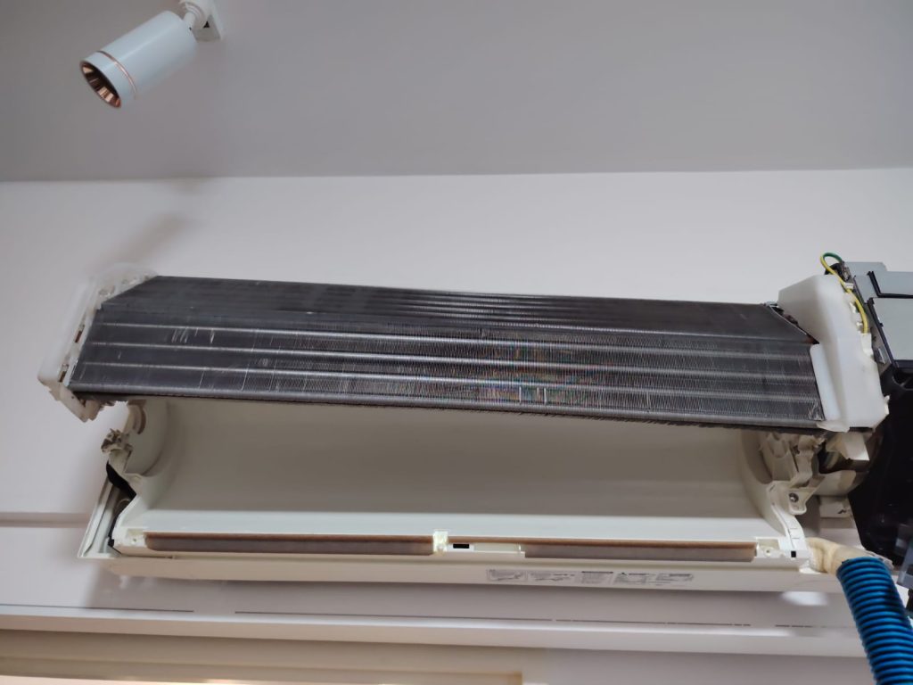 whatsapp image 2025 10 25 at 19.39.43