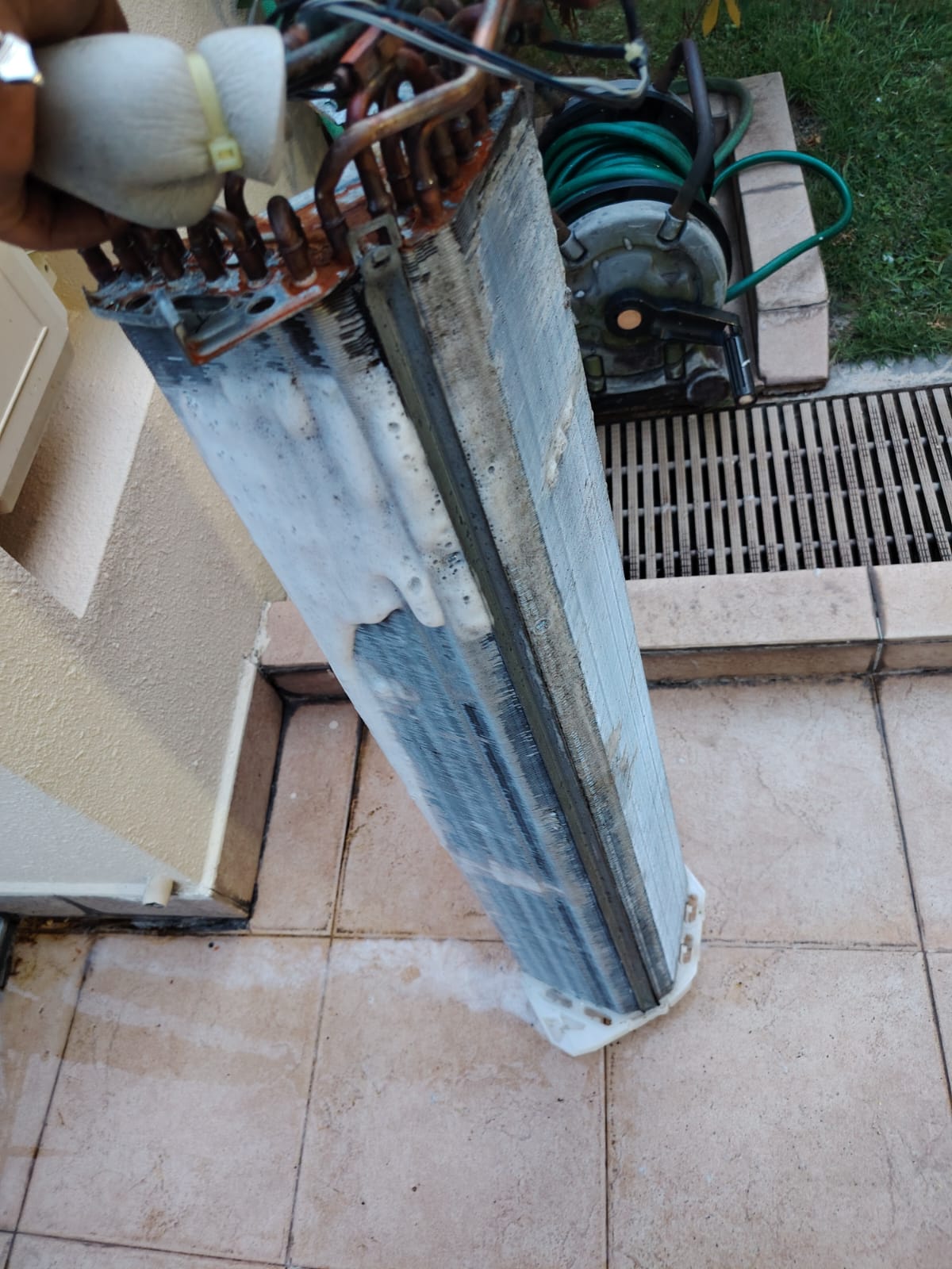 whatsapp image 2025 10 25 at 19.39.45