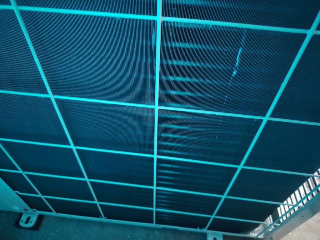 whatsapp image 2025 11 08 at 21.19.14