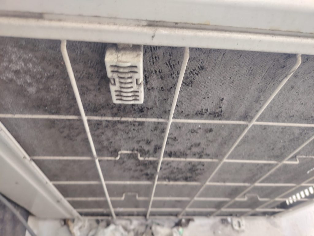 whatsapp image 2025 11 08 at 21.19.15