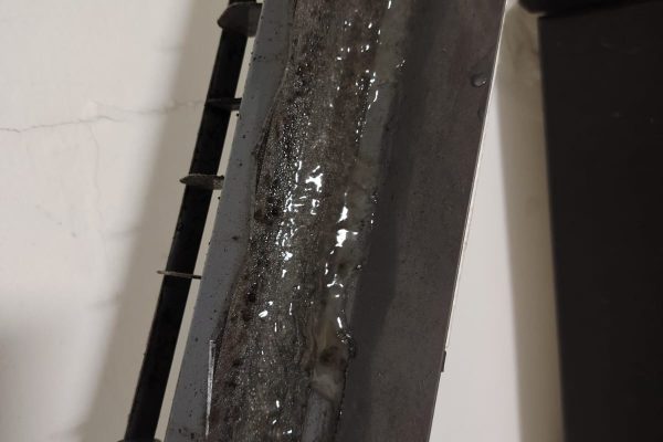 whatsapp image 2025 10 25 at 19.39.42